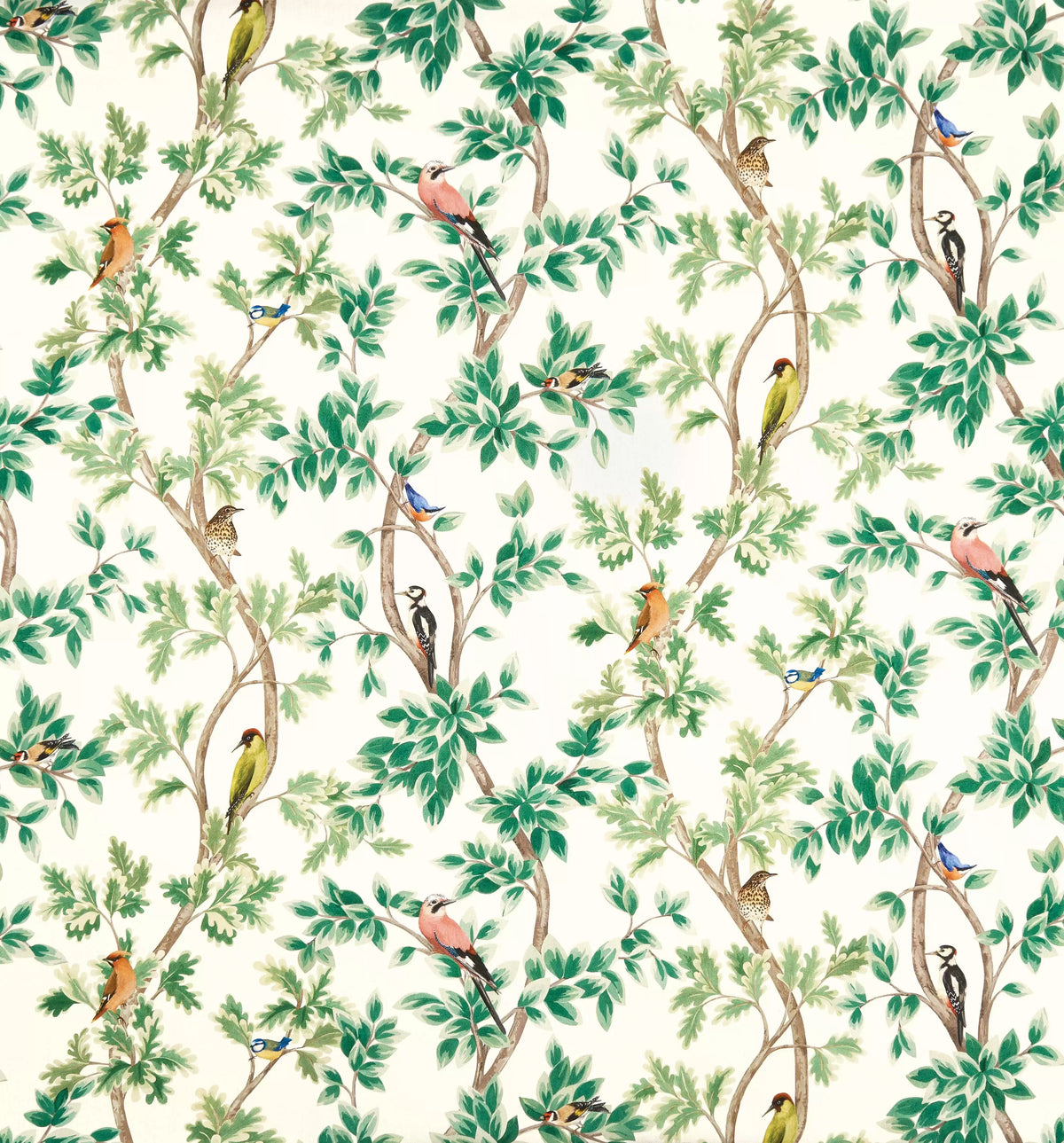 Osborne & Little Netherfield – Stoff – F7403-01
