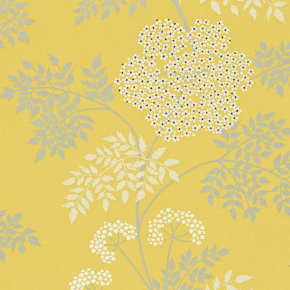 Sanderson - Tapete Cowparsley-Tapeten-Sanderson-CHINESE YELLOW DOPWCO105-DOPWCO105-Toju Interior