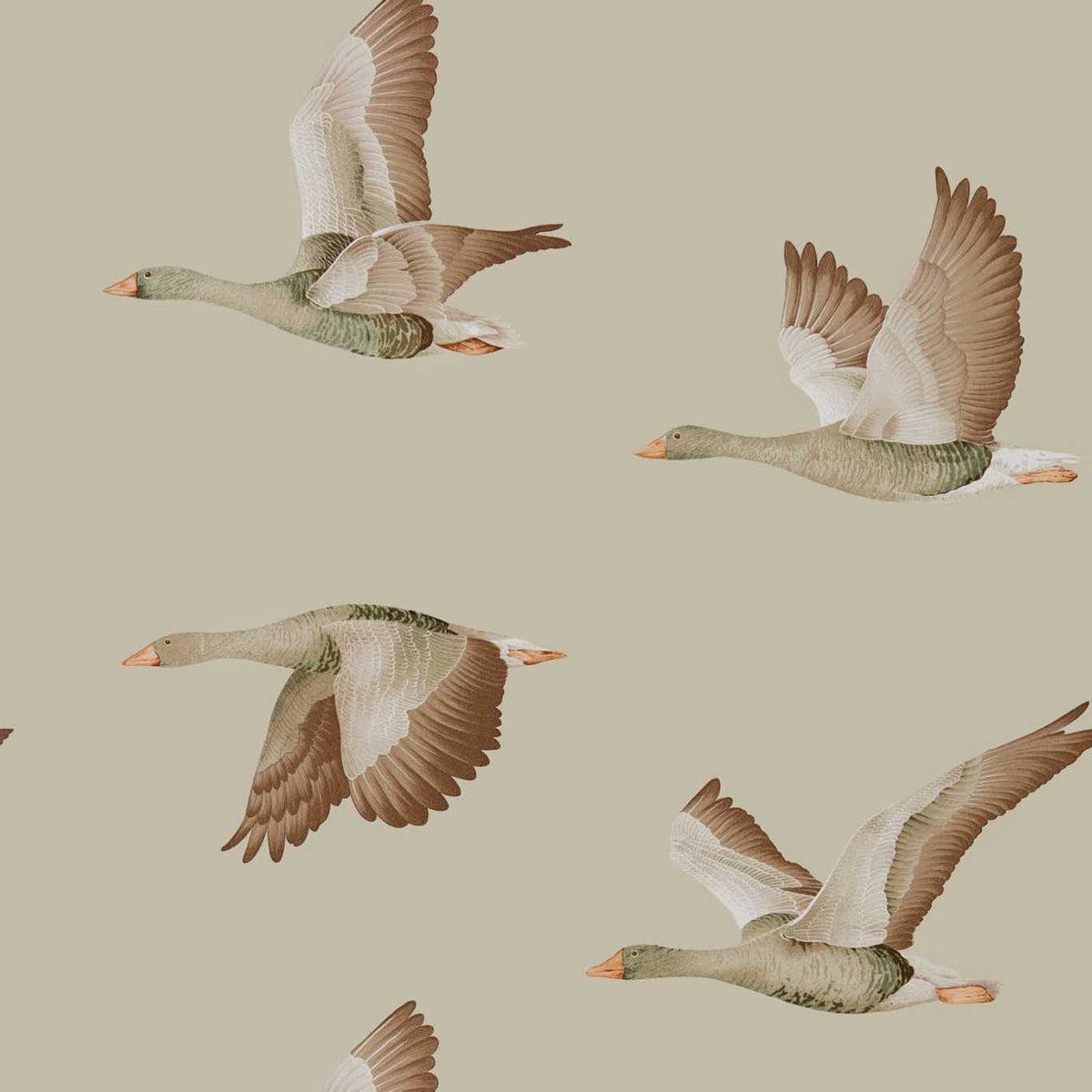 Sanderson - Tapete Elysian Geese-Tapeten-Sanderson-BRIARWOOD 216609-216609-Toju Interior