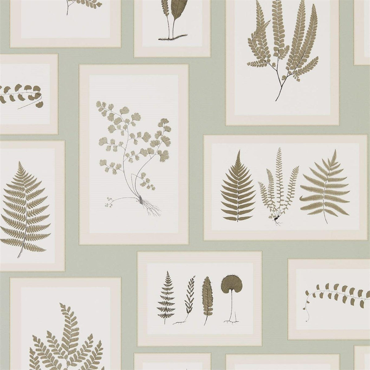 Sanderson - Tapete Fern Gallery-Tapeten-Sanderson-BLUE/SEPIA 215715-215715-Toju Interior