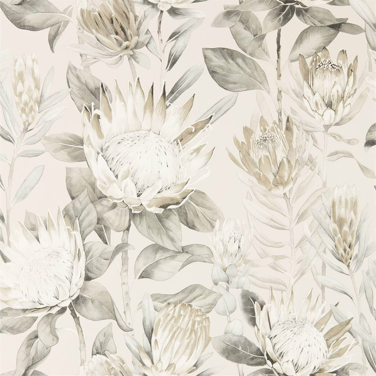 Sanderson - Tapete King Protea-Tapeten-Sanderson-LINEN/MICA 216647-216647-Toju Interior