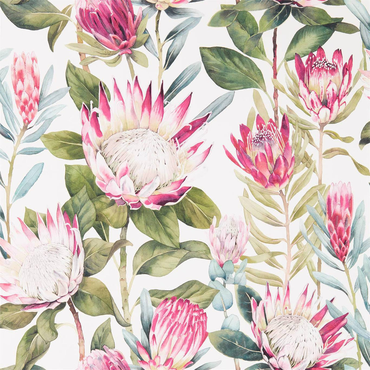 Sanderson - Tapete King Protea-Tapeten-Sanderson-RHODERA/CREAM 216646-216646-Toju Interior