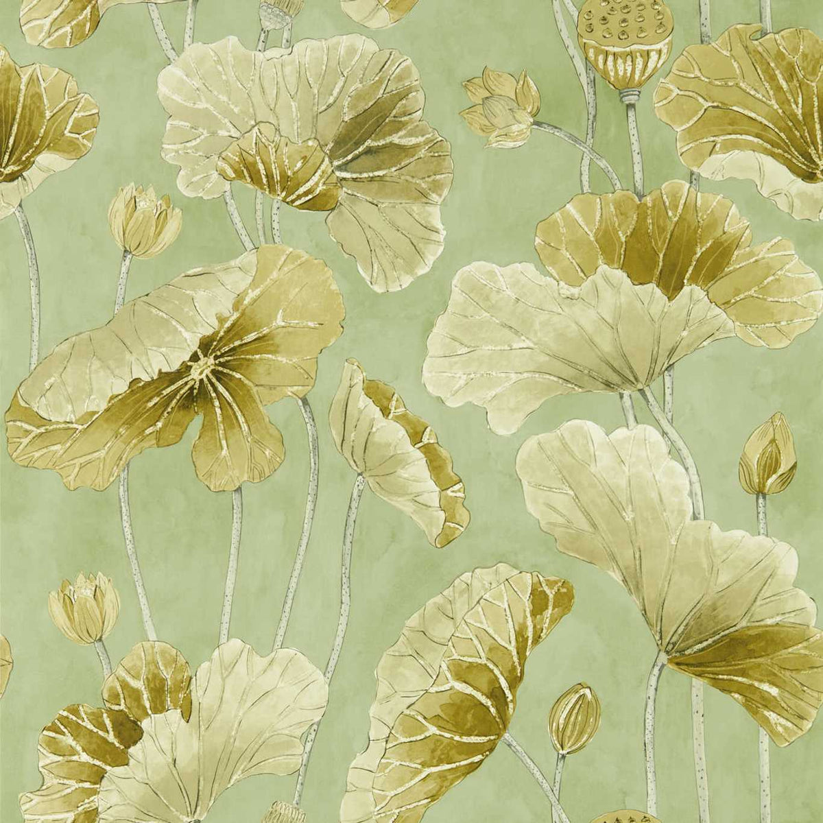Sanderson - Tapete Lotus Leaf-Tapeten-Sanderson-ORIENTAL GREEN/ OLIVE 217126-DWAW217126-Toju Interior
