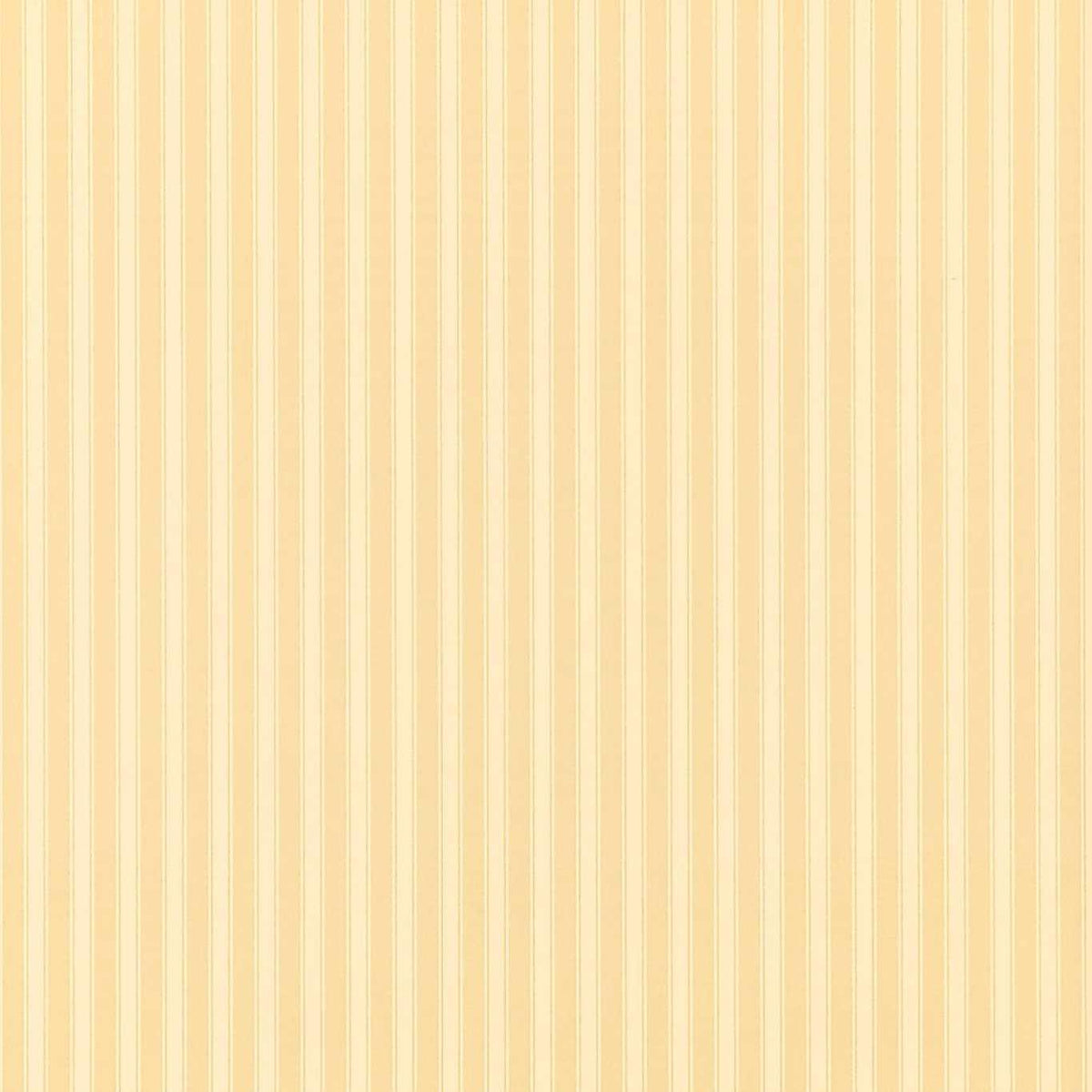 Sanderson - Tapete New Tiger Stripe-Tapeten-Sanderson-HONEY/CREAM DCAVTP104-DCAVTP104-Toju Interior
