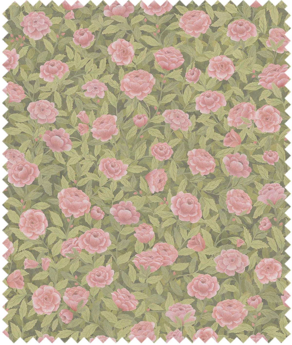Cole & Son – Stoff Idyll Roses Linen Union – F121/2009 – Blush