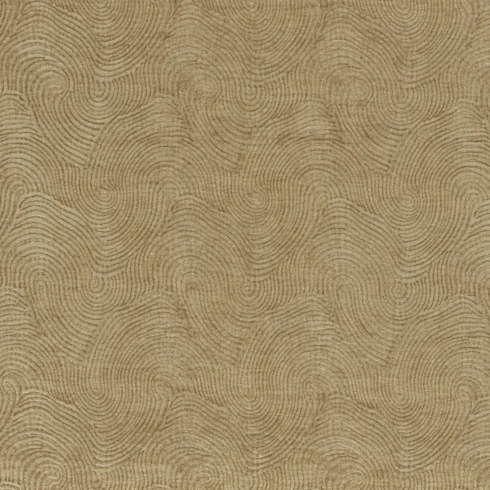 Camengo Gisement – Camel – 12790414