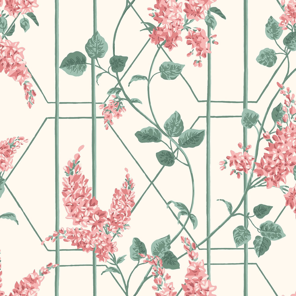 Cole & Son Wisteria Coral & Sage on White 115/5012 – Muster
