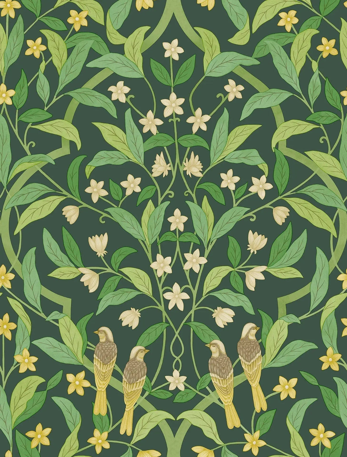 Cole & Son Jasmine & Serin Symphony Yellow & Leaf Green on Dark Forest Green 117/10029 – Muster
