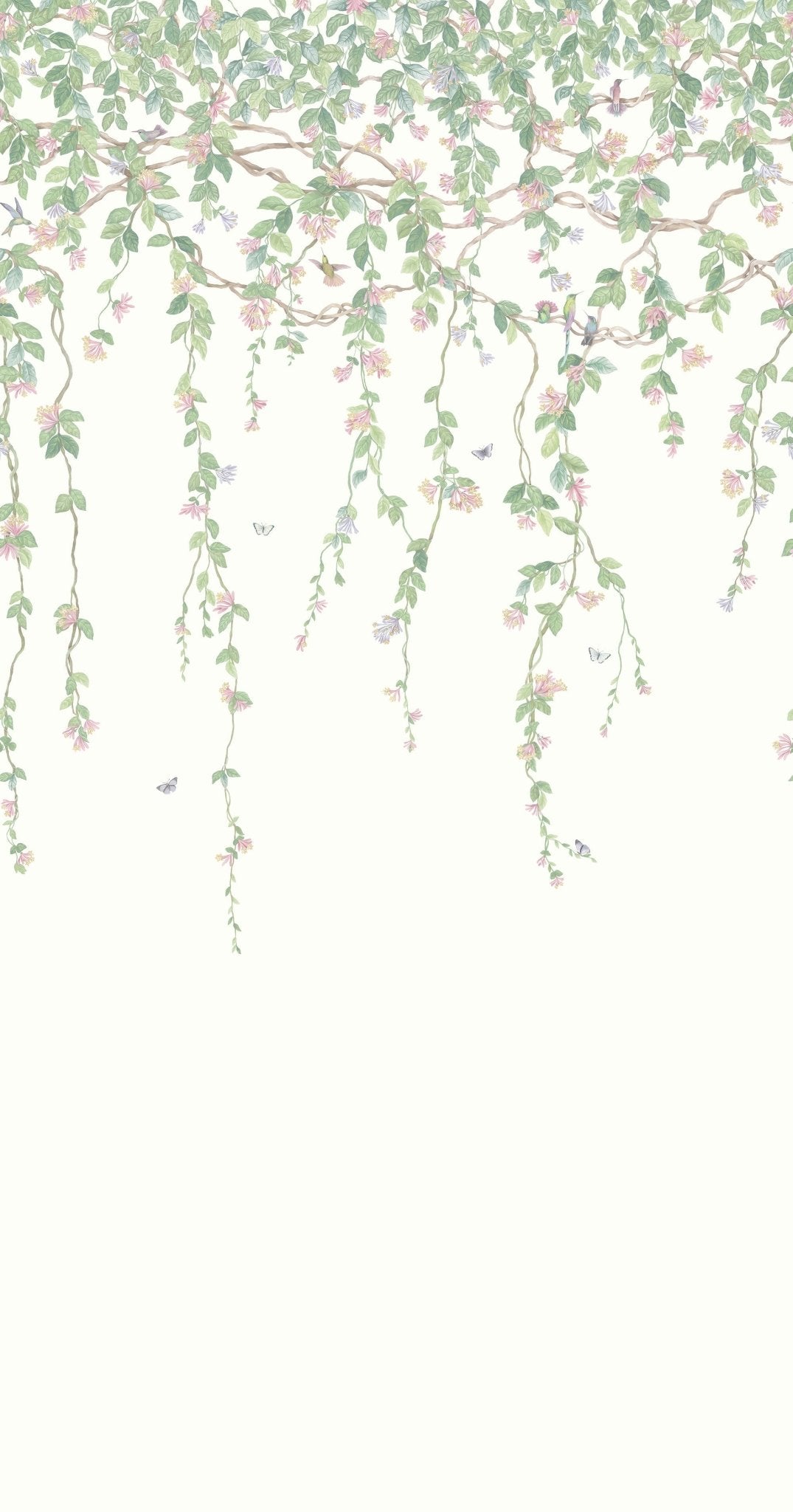 Cole & Son Hummingbirds Flora – Blush, Sage, & Mulberry on Cream (124/2008), Musteransicht