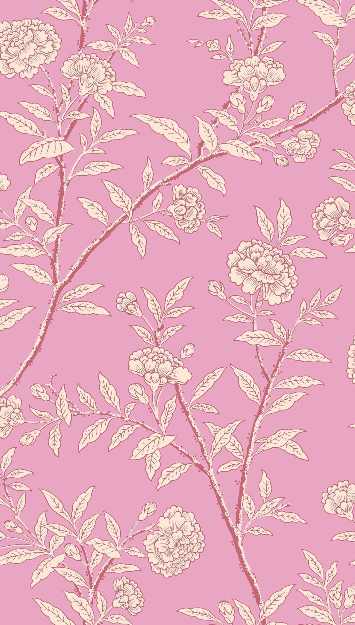 Cole & Son Roseberry Fuchsia 127/3017 – Muster