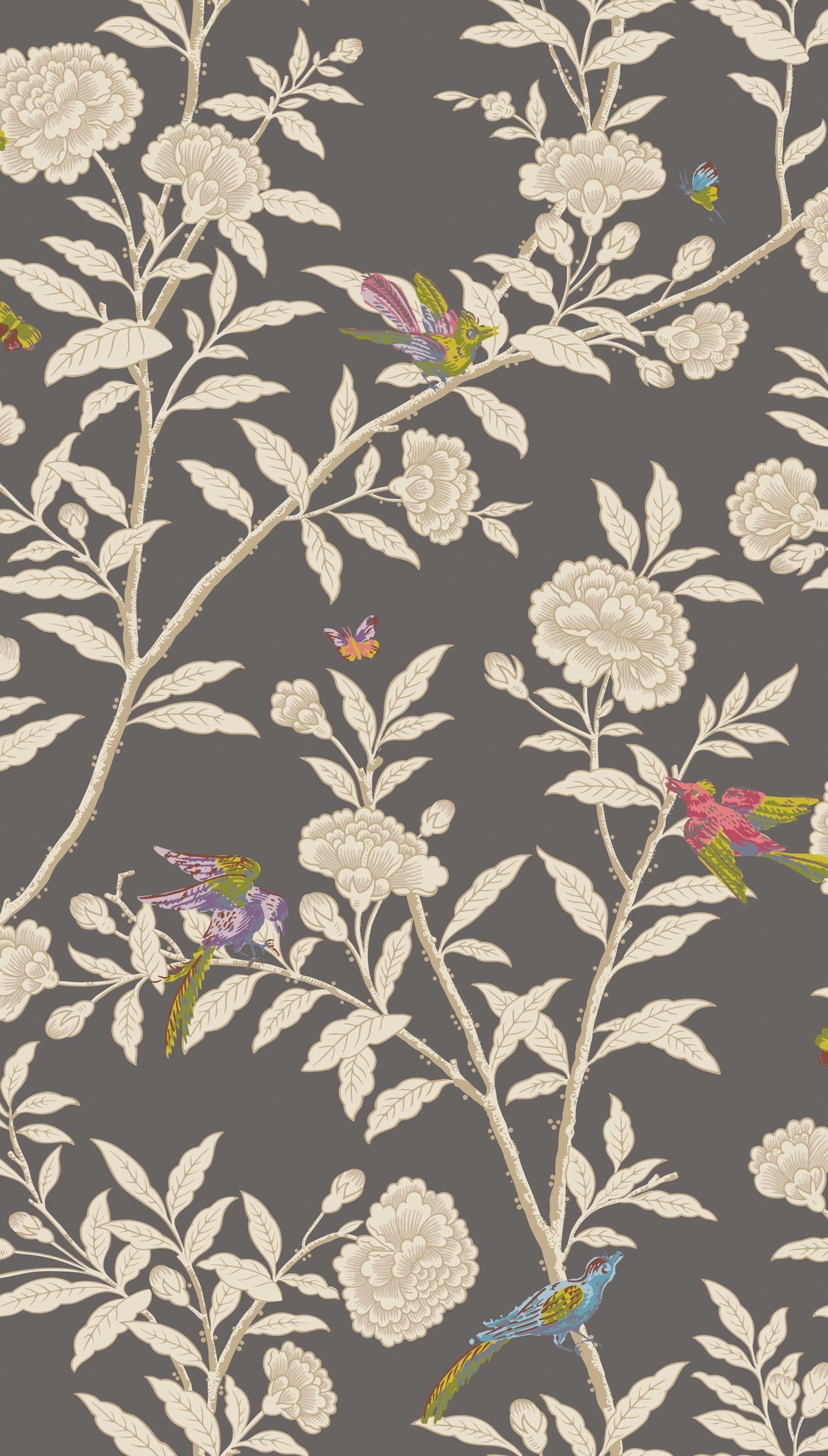 Cole & Son Roseberry with Birds – Soft Charcoal (127/4019), Musteransicht