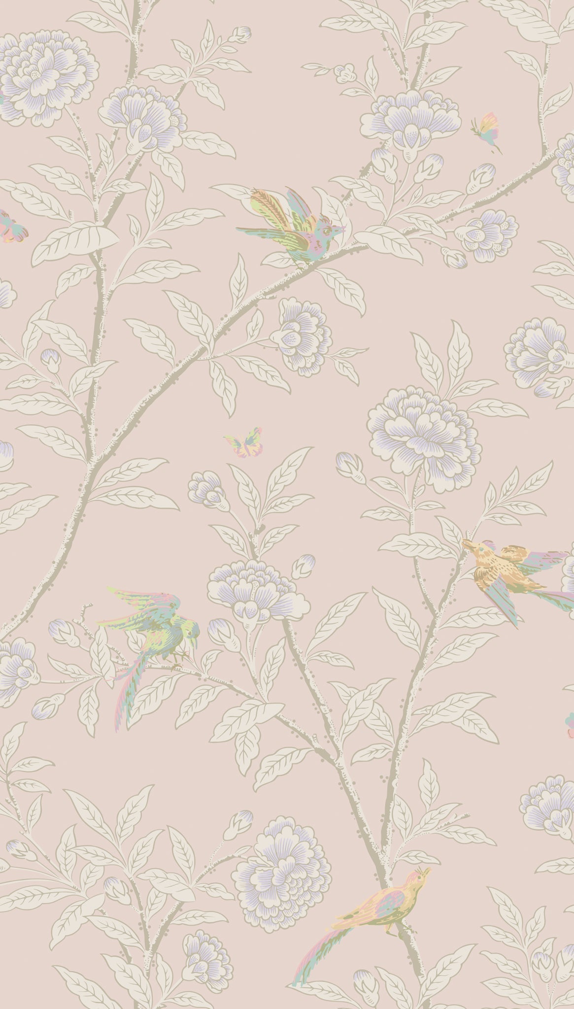 Cole & Son Roseberry with Birds – Shell Pink (127/4020), Musteransicht