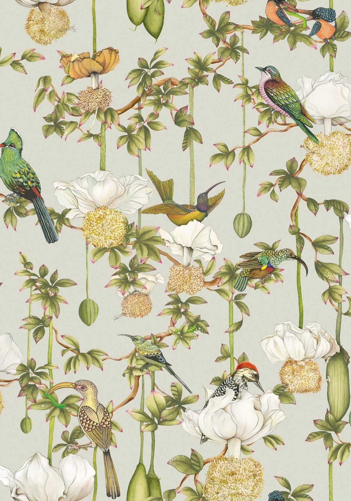 Cole & Son Baobab Botanica Duck Egg 129/2006 – Muster