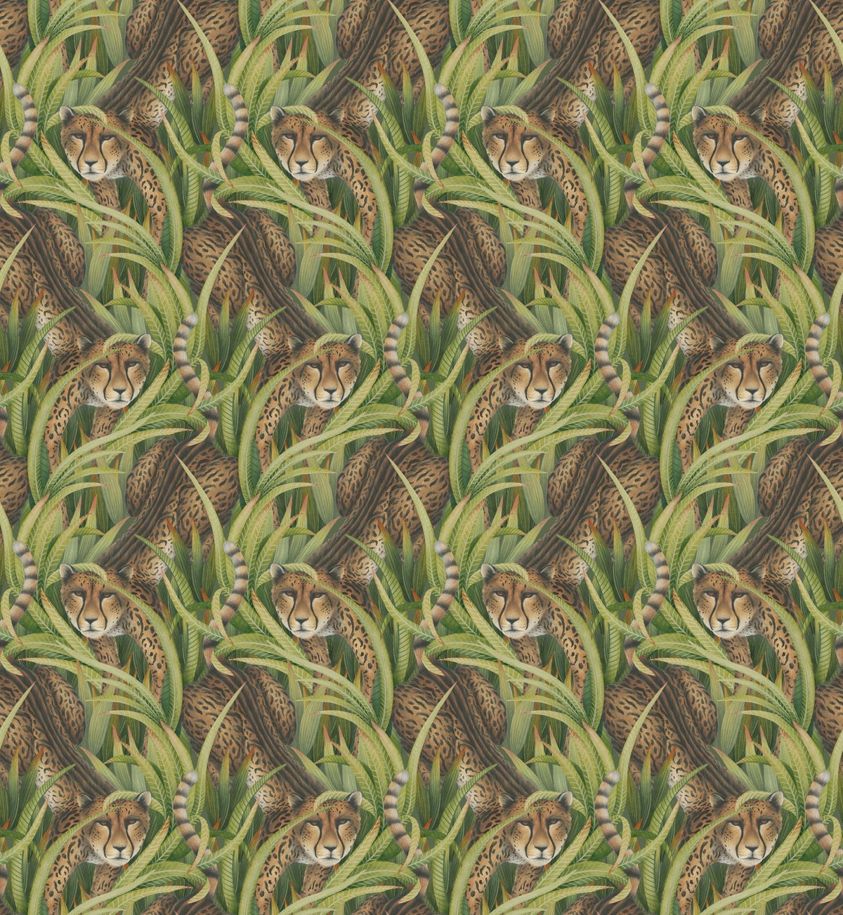 Cole & Son Cheetah Prowl Grass 129/8042 – Muster