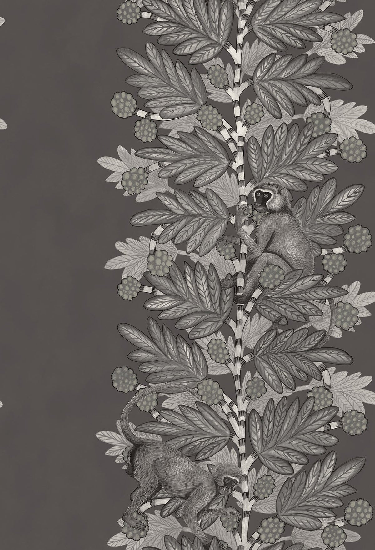Cole & Son Acacia Tapete – Charcoal & Metallic Silver on Soot (109/11055), Musteransicht