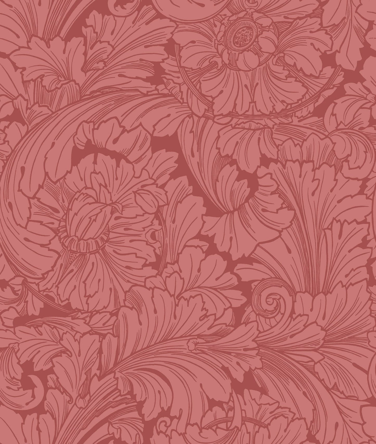 Cole & Son Acanthus, Stately Home Red (127/6033)