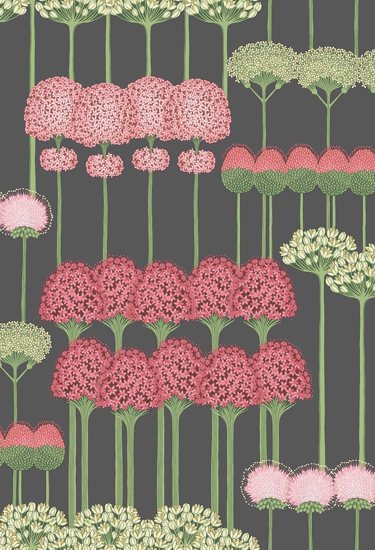 Cole & Son Allium Tapete, Coral & Leaf Green on Charcoal (115/12037)
