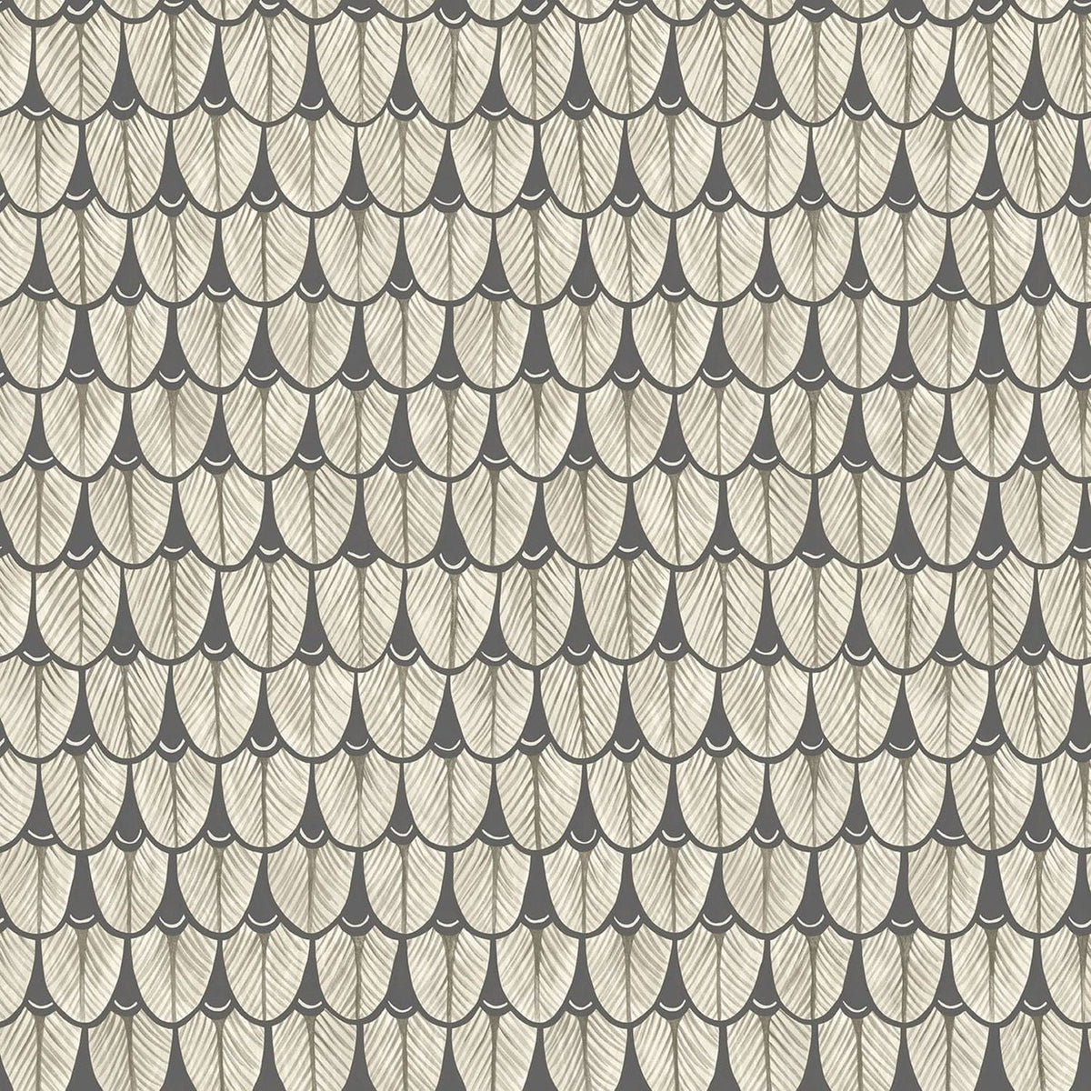 Cole & Son Narina, Soot & Snow, 109/10048