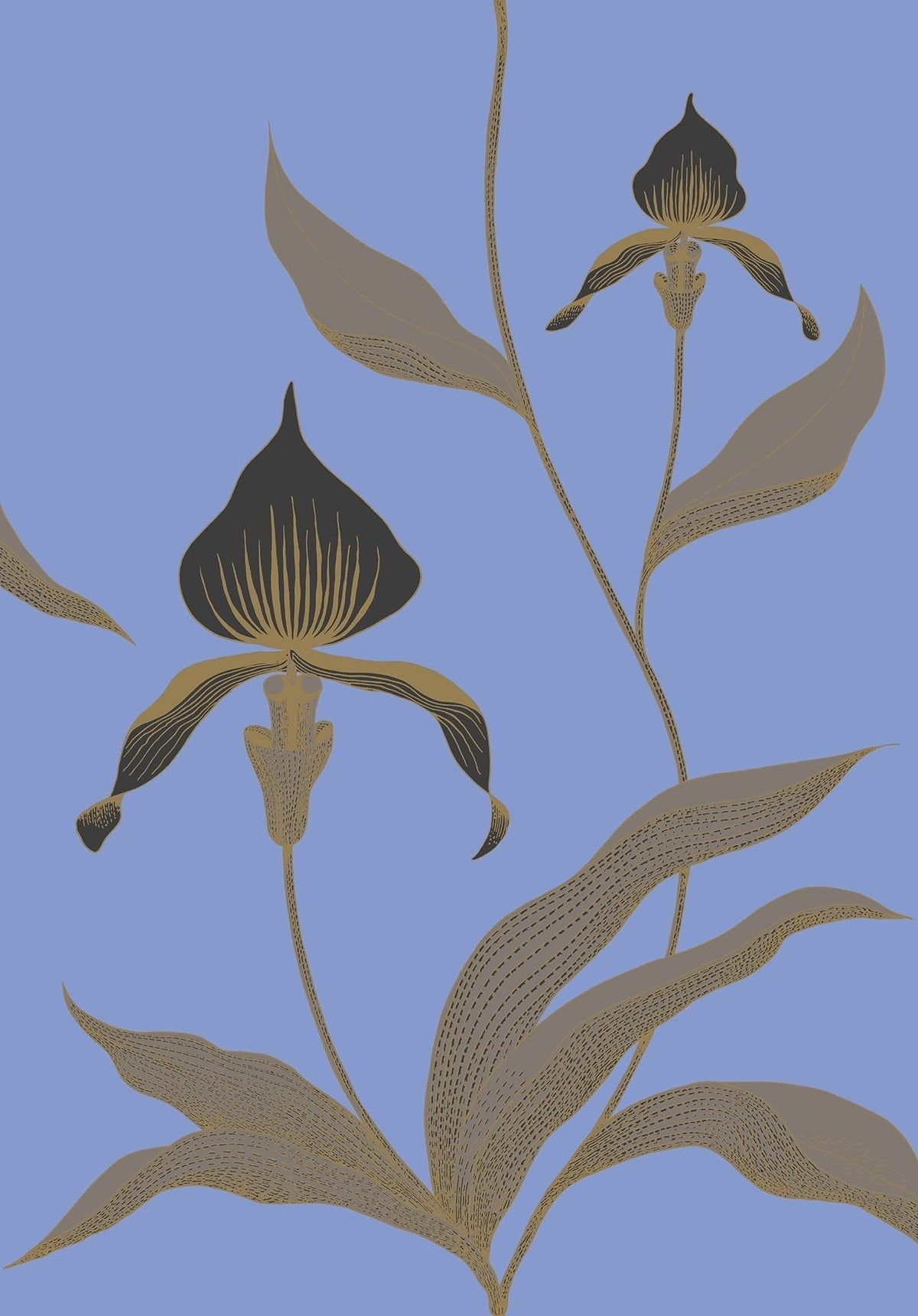 Cole & Son Orchid – Charcoal, Taupe & Metallic Gold on Hyacinth Blue – 66/4030