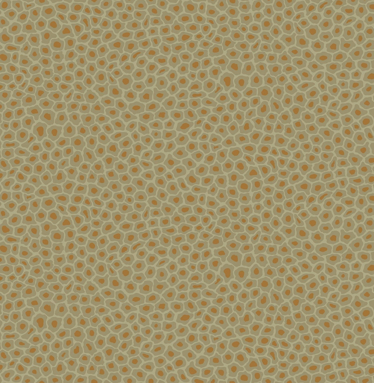 Cole & Son Senzo Spot – Old Olive & Metallic Bronze (109/6029)