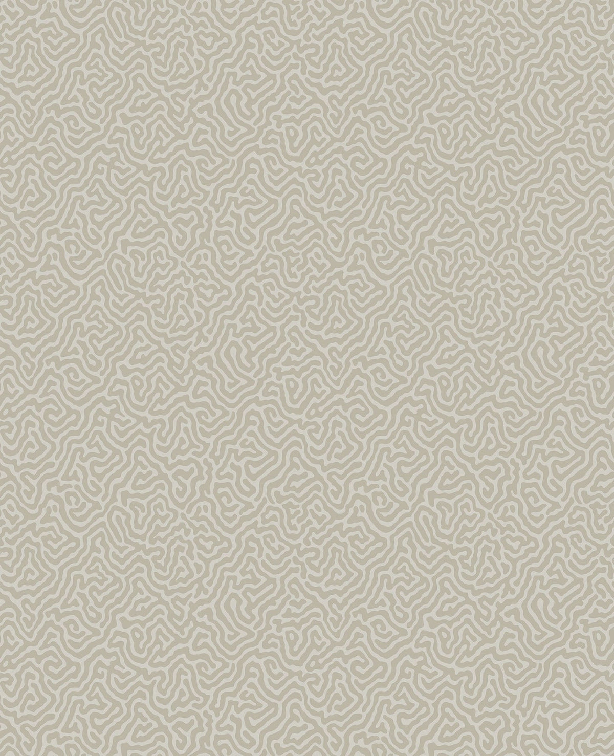 Cole & Son Vermicelli – Metallic Gilver on Stone (107/4019)