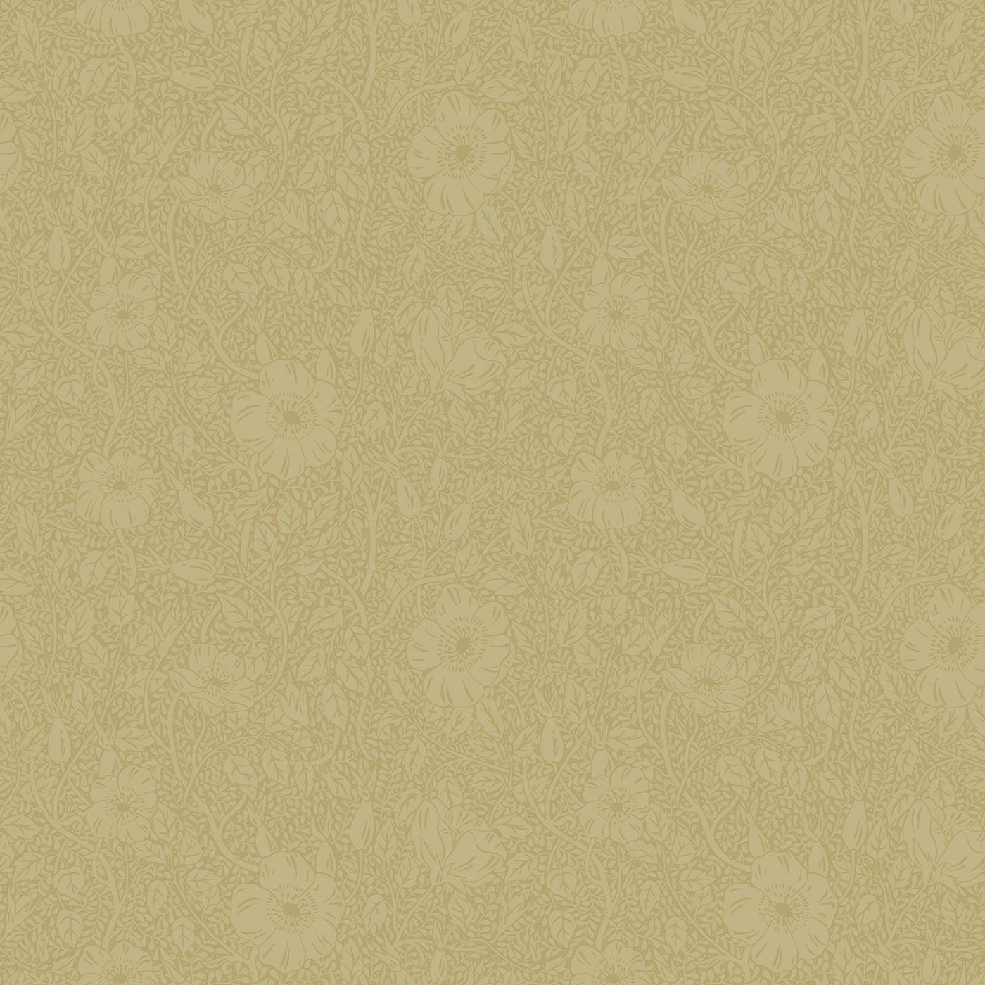 Sandberg - tapet Anton