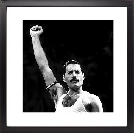 Brookpace Fine Art - Freddie Mercury-Wandbild-Brookpace Lascelles-Studio / Lackrahmen schwarz-TOJU Interior