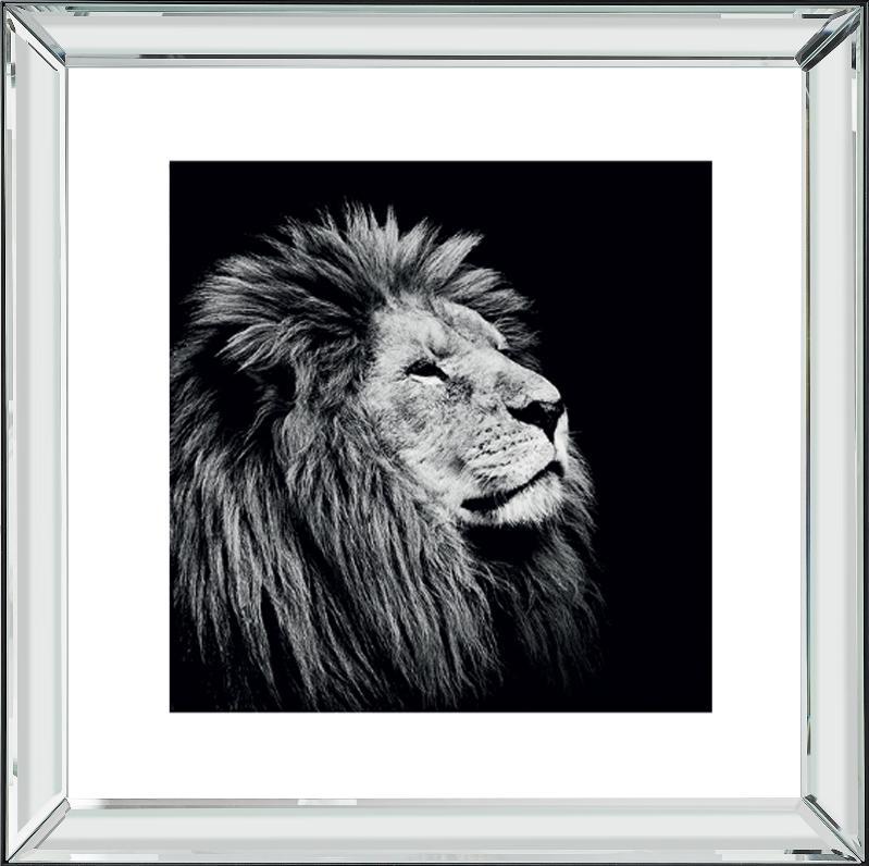 Brookpace Fine Art - MAJESTY