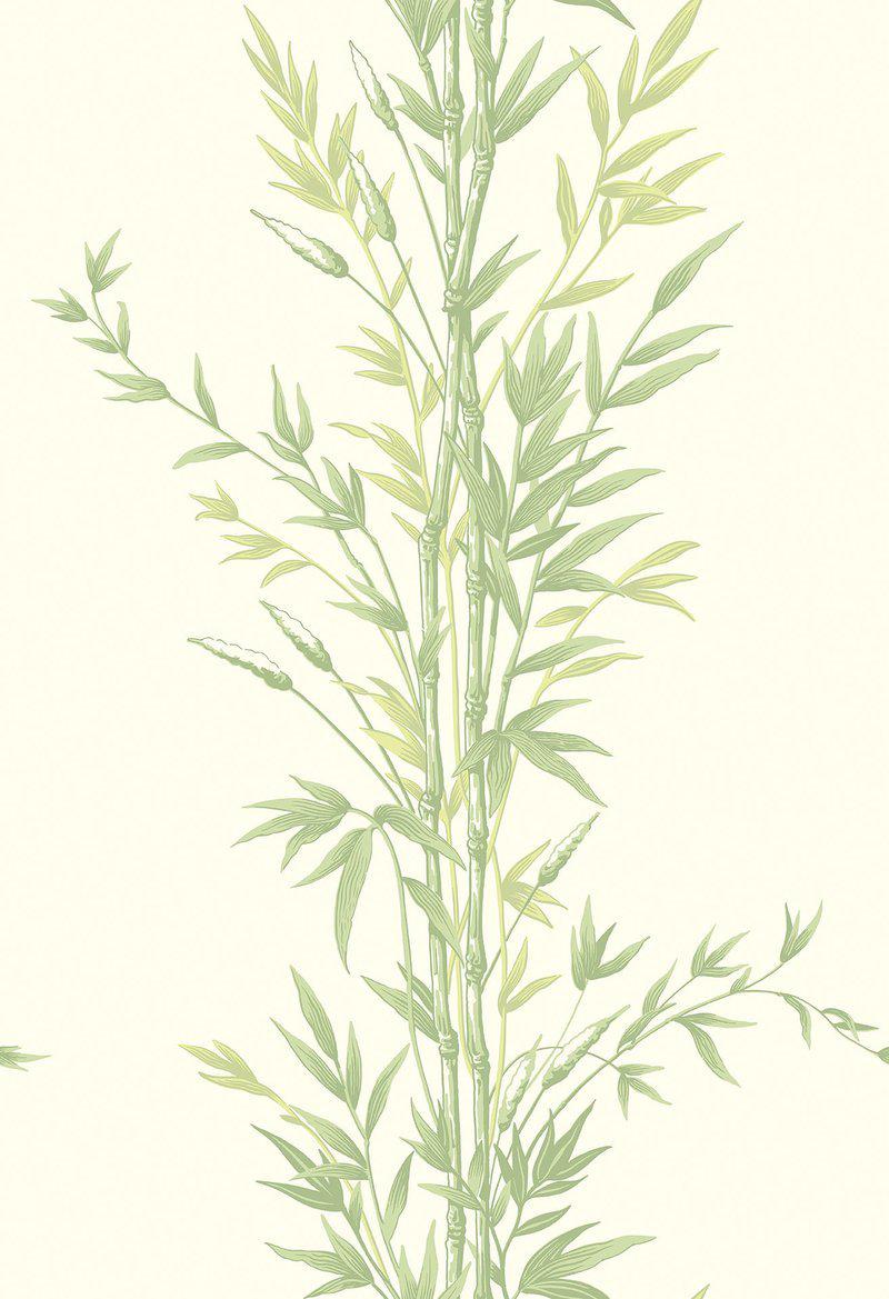Cole and Son - Tapete Bamboo Wallpaper-Tapeten-Cole & Son-TOJU Interior