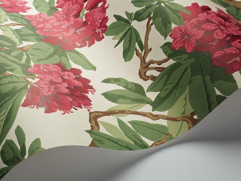 Cole and Son - Tapete Bourlie Wallpaper-Tapeten-Cole & Son-CeriseXgsX Leaf Green on White S99/4019-TOJU Interior