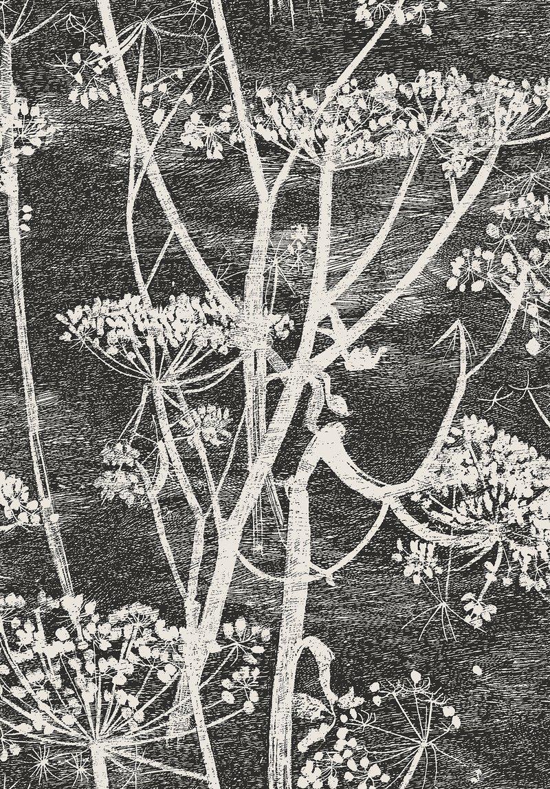 Cole and Son - Tapete Cow Parsley Wallpaper-Tapeten-Cole & Son-TOJU Interior