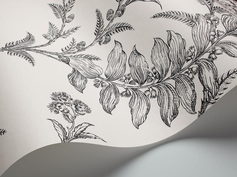 Cole and Son - Tapete Ludlow Wallpaper-Cole & Son-Black on White S88/1005-TOJU Interior