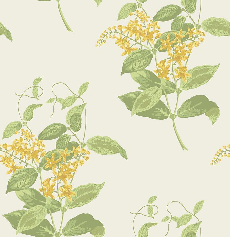 Cole and Son - Tapete Madras Violet Wallpaper-Tapeten-Cole & Son-TOJU Interior