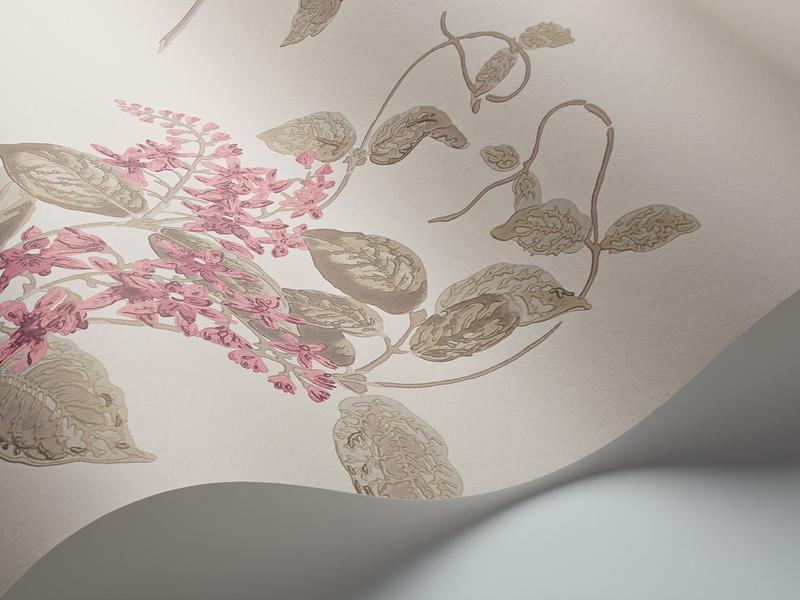 Cole and Son - Tapete Madras Violet Wallpaper-Tapeten-Cole & Son-Fuchsia & Linen on Parchment S100/12058-TOJU Interior