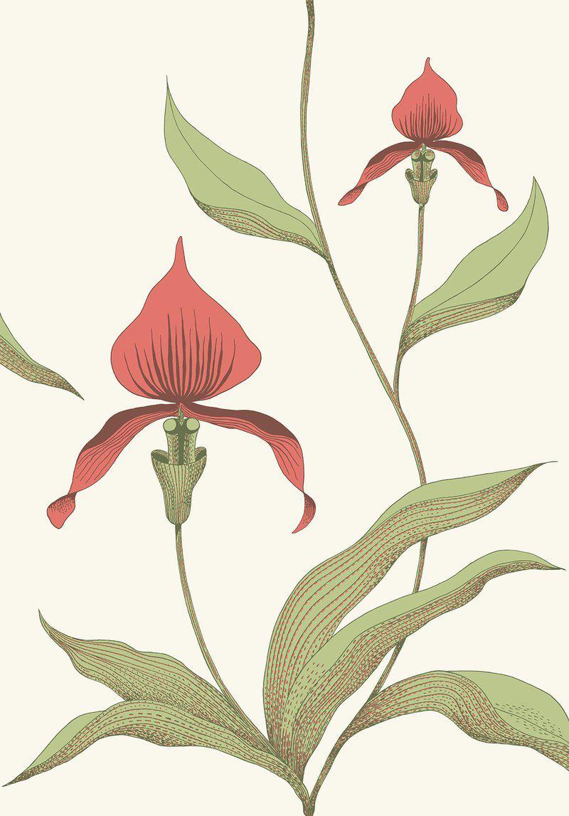Cole and Son - Tapete Orchid Wallpaper-Tapeten-Cole & Son-TOJU Interior