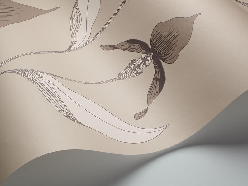 Cole and Son - Tapete Orchid Wallpaper-Tapeten-Cole & Son-Taupe & Parchment 95/10058-TOJU Interior