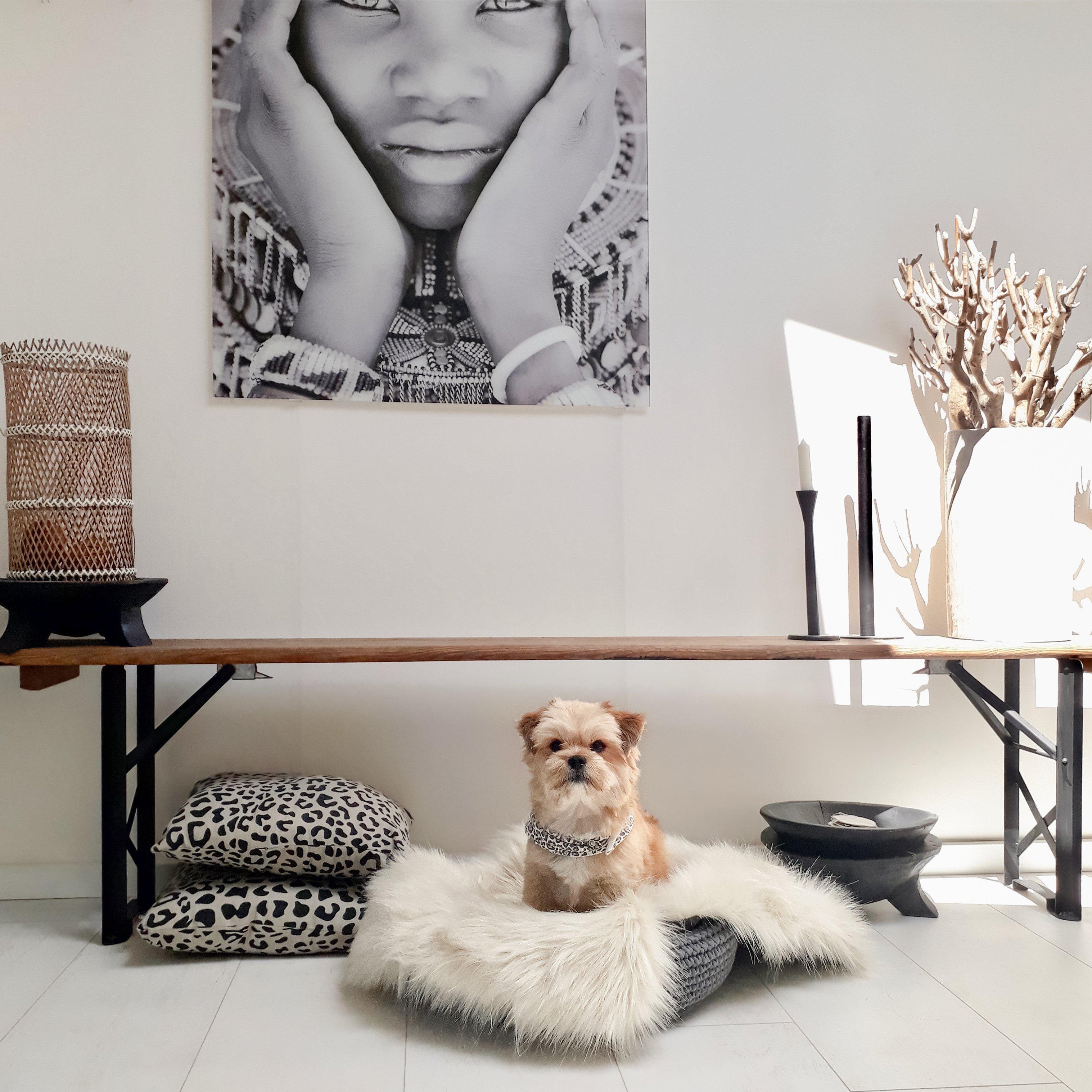 Labbvenn - Hundebett Coco-Hundebett-Labbvenn-TOJU Interior