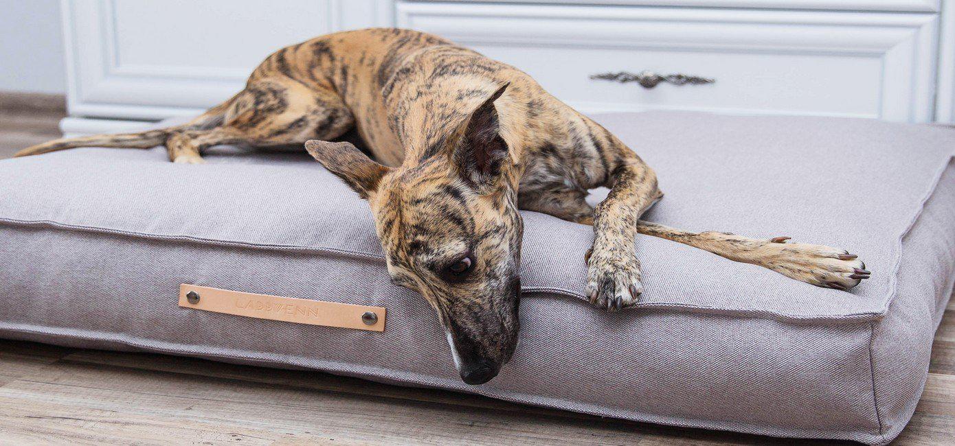 Labbvenn - Hundekissen Töve-Hundekissen-Labbvenn-TOJU Interior