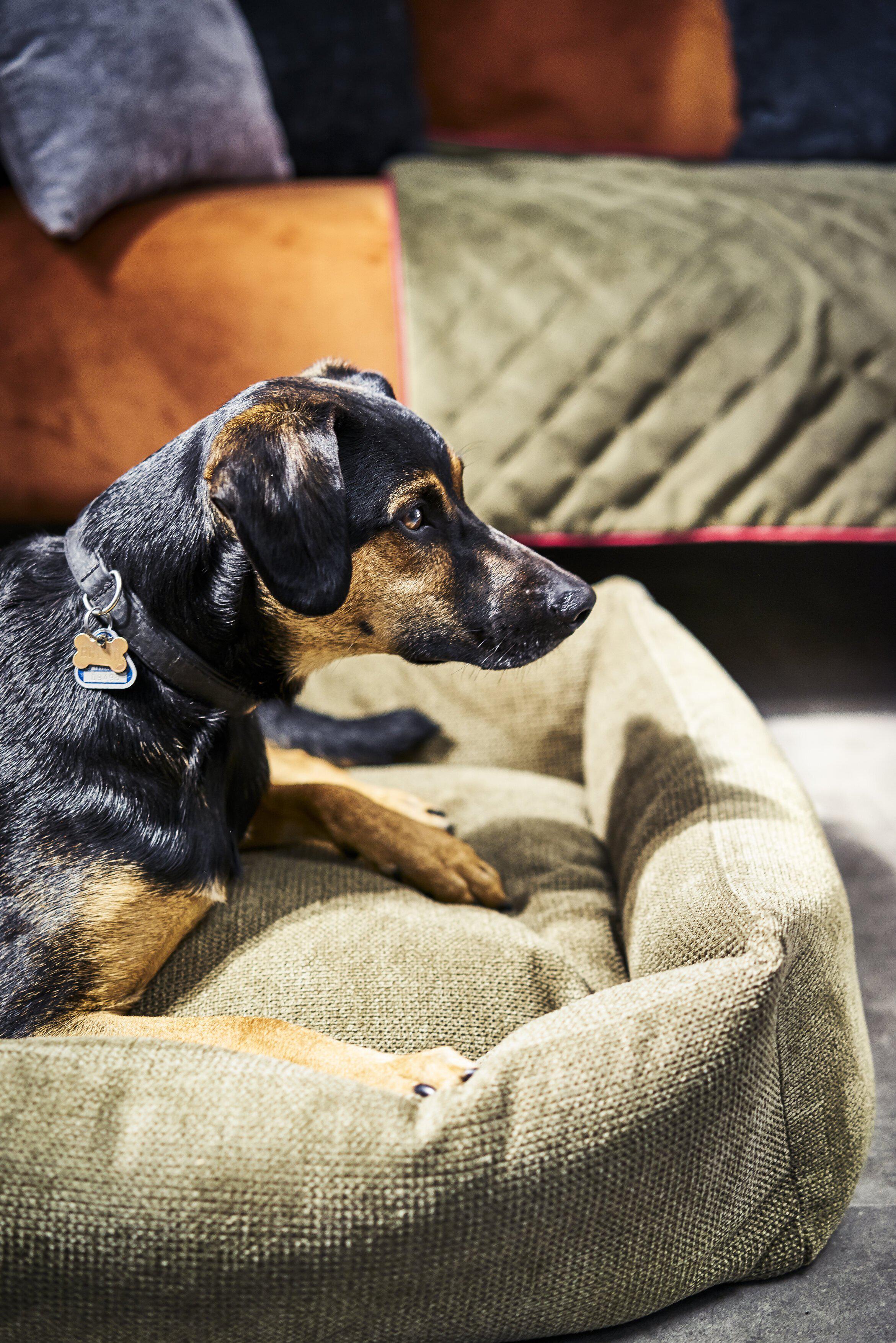 Laboni - Hundebett Tudor-Hundebett-Laboni-TOJU Interior