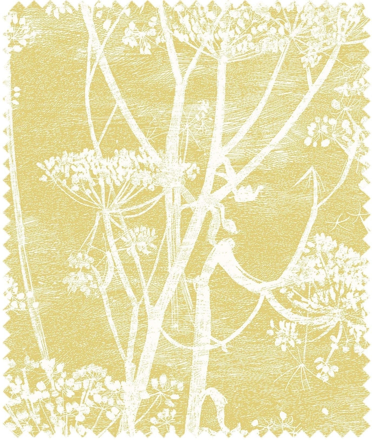 Cole & Son – Stoff Cow Parsley 100% Linen – F111/5020 – White & Chartreuse