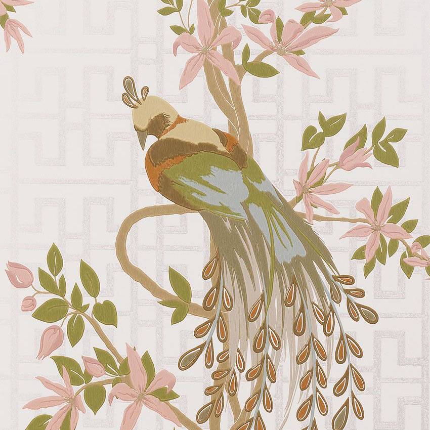 NINA CAMPBELL Tapete Paradiso – PARADISO-Tapeten-NINA CAMPBELL-NCW4030-01-TOJU Interior
