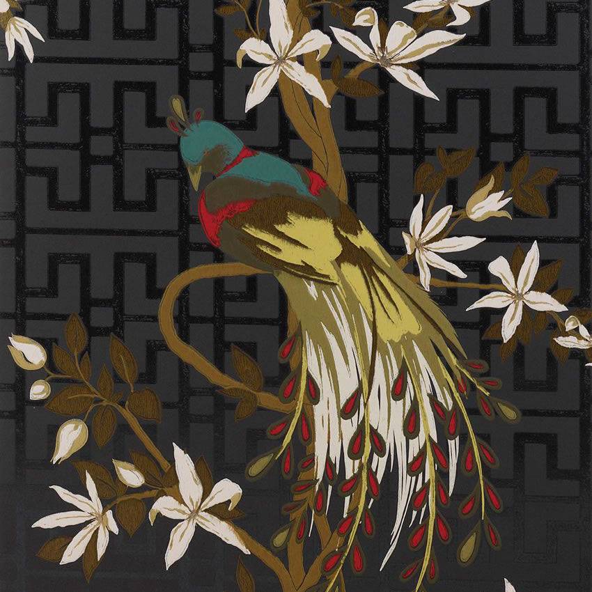 NINA CAMPBELL Tapete Paradiso – PARADISO-Tapeten-NINA CAMPBELL-NCW4030-05-TOJU Interior