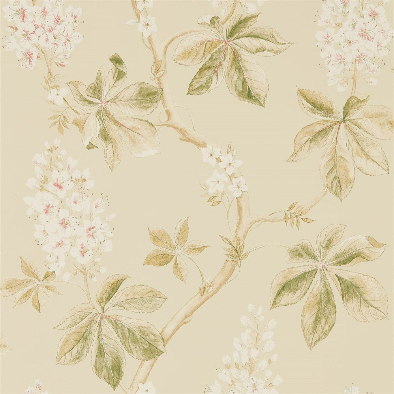 Sanderson - Tapete Chestnut Tree-Tapeten-Sanderson-CORAL/BAYLEAF 215709-215709-Toju Interior