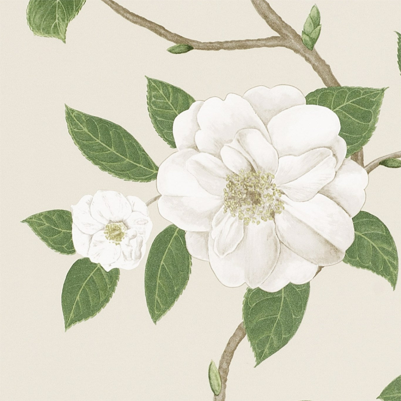 Sanderson - Tapete Christabel-Tapeten-Sanderson-IVORY/CREAM 213380-213380-Toju Interior