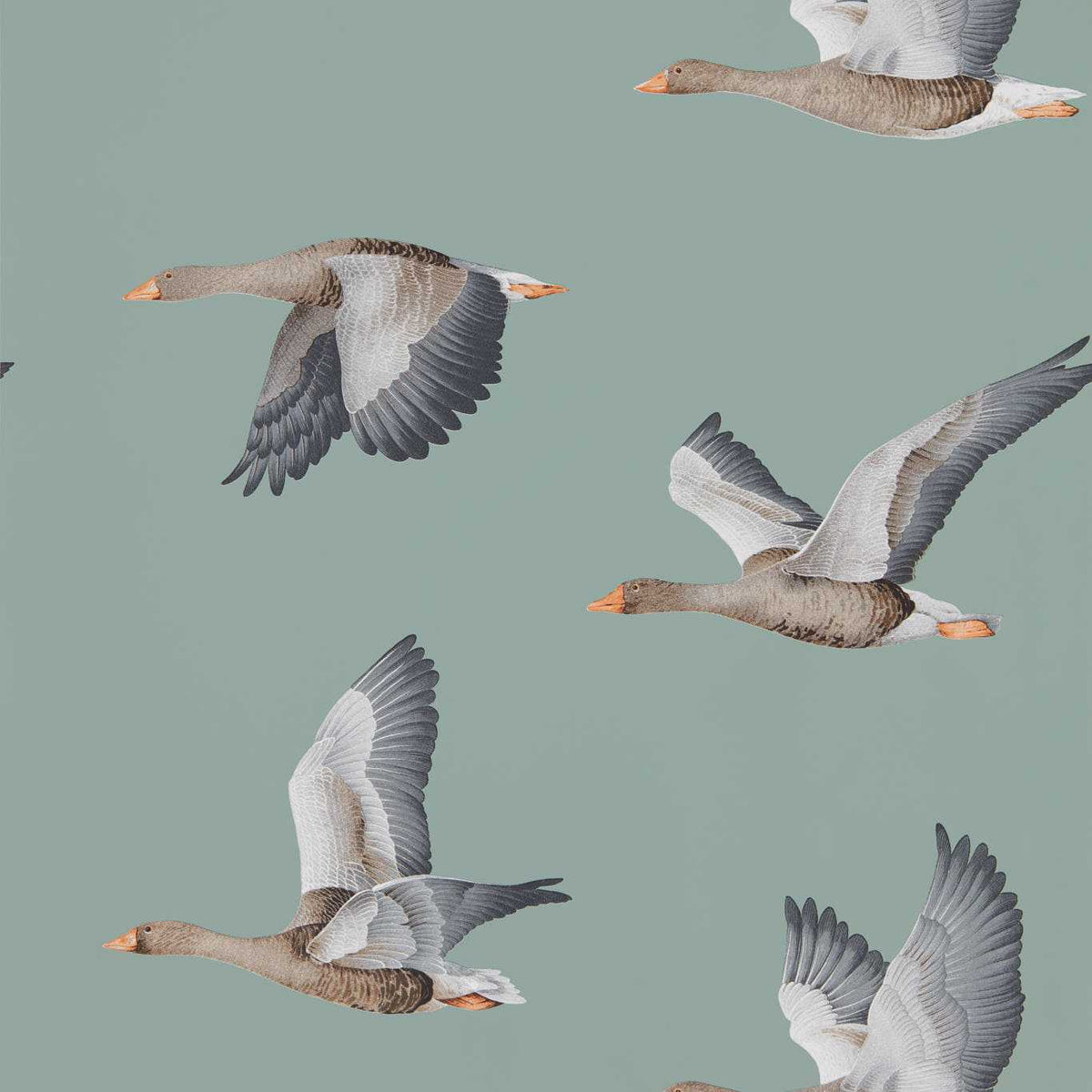 Sanderson - Tapete Elysian Geese-Tapeten-Sanderson-BLUE CLAY 216610-216610-Toju Interior