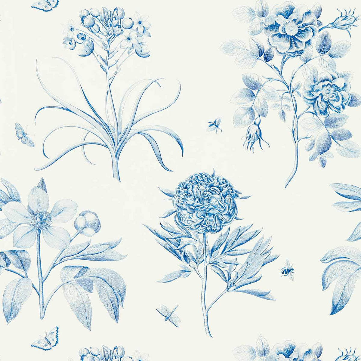 Sanderson - Tapete Etchings & Roses-Tapeten-Sanderson-CHINA BLUE 217052-217052-Toju Interior