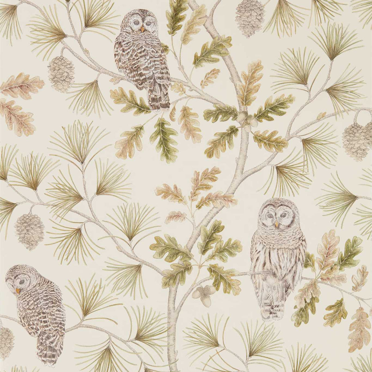 Sanderson - Tapete Owlswick-Tapeten-Sanderson-BRIARWOOD 216597-216597-Toju Interior