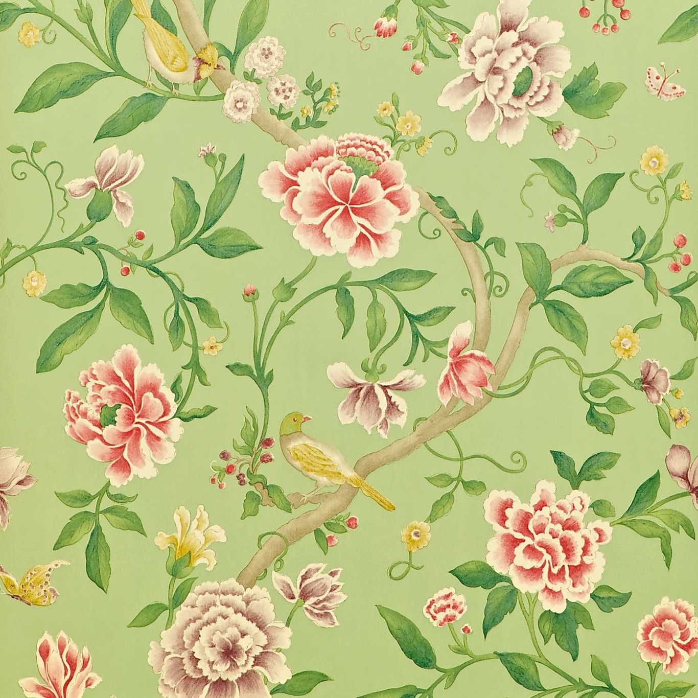Sanderson - Tapete Porcelain Garden-Tapeten-Sanderson-ROSE/FENNEL DCAVPO101-DCAVPO101-Toju Interior