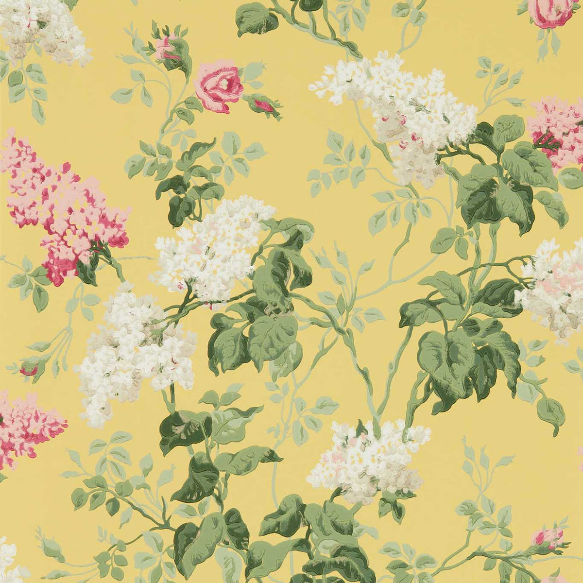 Sanderson - Tapete Sommerville-Tapeten-Sanderson-CARMEN/DAFFODIL 217051-217051-Toju Interior