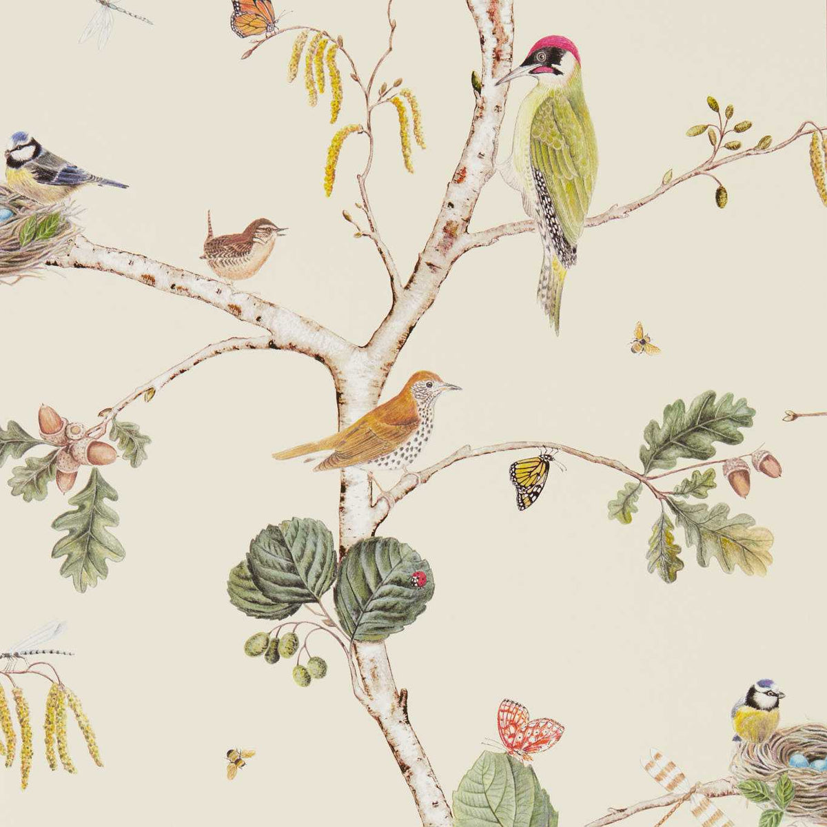 Sanderson - Tapete Woodland Chorus-Tapeten-Sanderson-CREAM/MULTI 215703-DWOW215703-Toju Interior